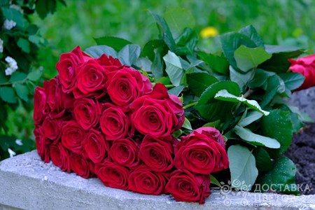 Букет из 19 красных роз "Ред Наоми"